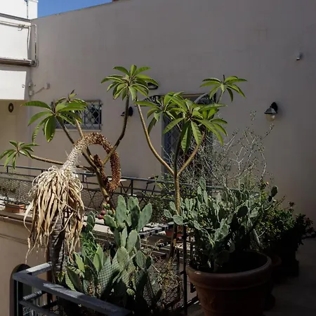 Loft Francica Nava Apartment *